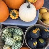 Pond Hill Farm photo