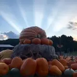 Pond Hill Farm photo