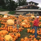 Pond Hill Farm photo