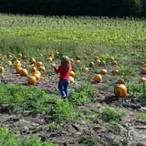 Pond Hill Farm photo