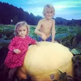 Pond Hill Farm photo