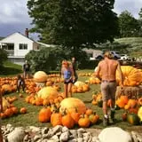 Pond Hill Farm photo