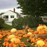 Pond Hill Farm photo