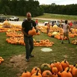 Pond Hill Farm photo