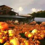 Pond Hill Farm photo