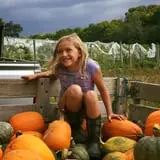 Pond Hill Farm photo