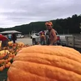 Pond Hill Farm photo