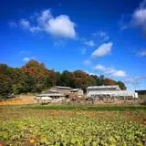 Pond Hill Farm photo