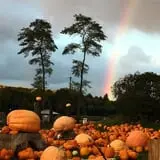 Pond Hill Farm photo