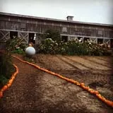 Pond Hill Farm photo