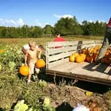 Pond Hill Farm photo