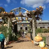 Pond Hill Farm photo