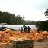 Pond Hill Farm photo