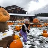 Pond Hill Farm photo