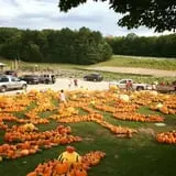 Pond Hill Farm photo