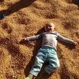 Indian Creek Farmstead & Pumpkin Patch photo