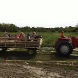 Indian Creek Farmstead & Pumpkin Patch photo