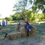 Indian Creek Farmstead & Pumpkin Patch photo