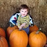 Indian Creek Farmstead & Pumpkin Patch photo