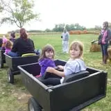 Indian Creek Farmstead & Pumpkin Patch photo