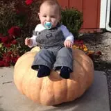 Indian Creek Farmstead & Pumpkin Patch photo