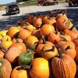 Indian Creek Farmstead & Pumpkin Patch photo