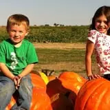 Indian Creek Farmstead & Pumpkin Patch photo