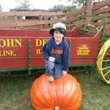Indian Creek Farmstead & Pumpkin Patch photo