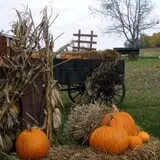 Indian Creek Farmstead & Pumpkin Patch photo