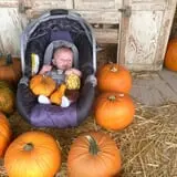 Indian Creek Farmstead & Pumpkin Patch photo