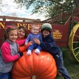 Indian Creek Farmstead & Pumpkin Patch photo