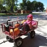 Indian Creek Farmstead & Pumpkin Patch photo
