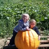 Indian Creek Farmstead & Pumpkin Patch photo
