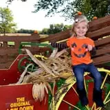 Indian Creek Farmstead & Pumpkin Patch photo