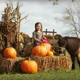 Indian Creek Farmstead & Pumpkin Patch photo