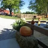 Indian Creek Farmstead & Pumpkin Patch photo