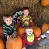 Indian Creek Farmstead & Pumpkin Patch photo