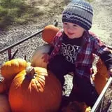 Indian Creek Farmstead & Pumpkin Patch photo