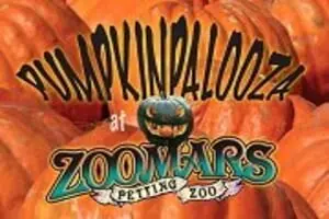 Pumpkinpalooza at Zoomars