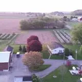 Northwoods Orchard and Farm Market Pumpkin Patch & Corn Maze photo