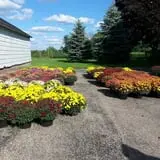 Northwoods Orchard and Farm Market Pumpkin Patch & Corn Maze photo