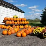 Northwoods Orchard and Farm Market Pumpkin Patch & Corn Maze photo