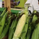 Northwoods Orchard and Farm Market Pumpkin Patch & Corn Maze photo