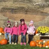 Northwoods Orchard and Farm Market Pumpkin Patch & Corn Maze photo