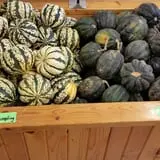 Northwoods Orchard and Farm Market Pumpkin Patch & Corn Maze photo