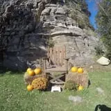 Northwoods Orchard and Farm Market Pumpkin Patch & Corn Maze photo