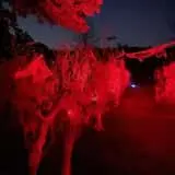 A Field of Screams photo