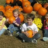 Page Farms Pumpkin Patch photo
