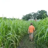 Page Farms Pumpkin Patch photo
