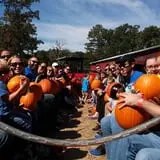 Page Farms Pumpkin Patch photo